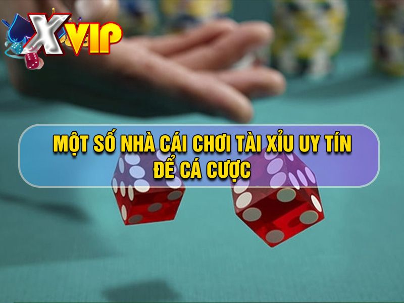 Một số địa điểm chơi tài xỉu uy tín để cá cược Một số địa điểm chơi tài xỉu uy tín để cá cược