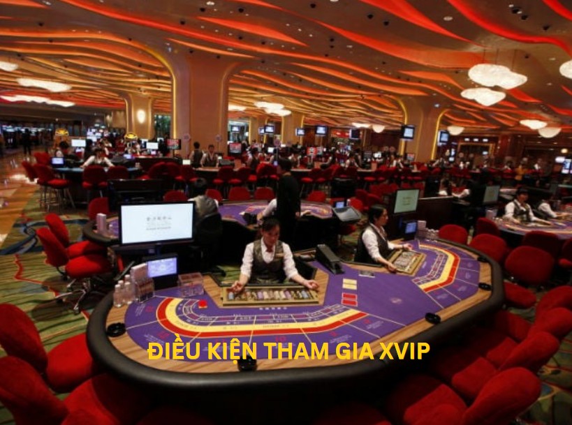 Điều kiện tham gia xvip, quy định tuổi 18+, tài khoản duy nhất